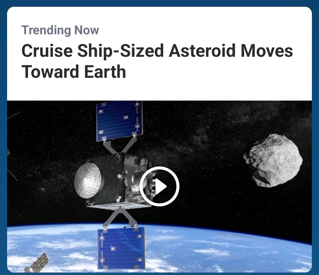 Stay-at-home Dog Dad tweet media