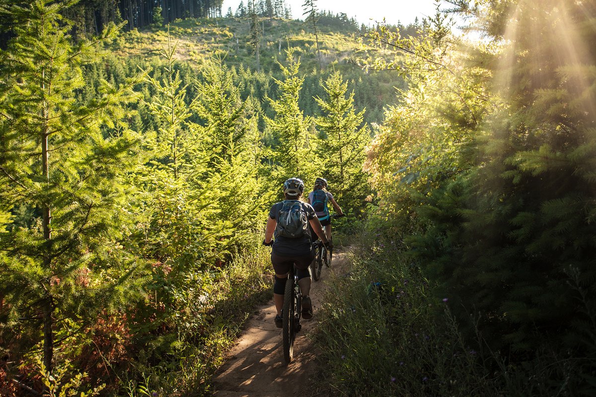 HandlebarJack's tweet photo. Hey everyone! How's your summer going? I hope it's full of fun and unforgettable moments with your loved ones. Let's make the most out of this season and create amazing memories that we'll cherish forever. Keep spreading good vibes and enjoy every moment!  #ebikes #HandlebarJack https://t.co/bDONblzLd0