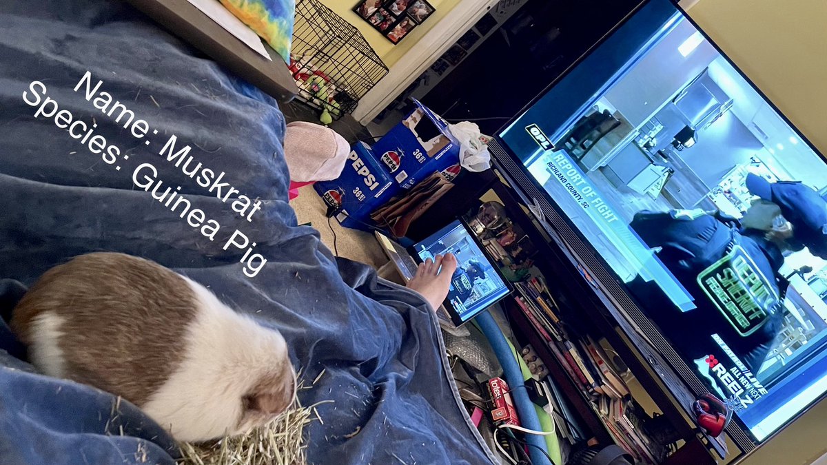 ProfPlatypus's tweet photo. Who’s ready to roll?!
#OPL #OPLive #OnPatrolLive #OPNation #PetsOfOPLive https://t.co/83d0IWrWNo
