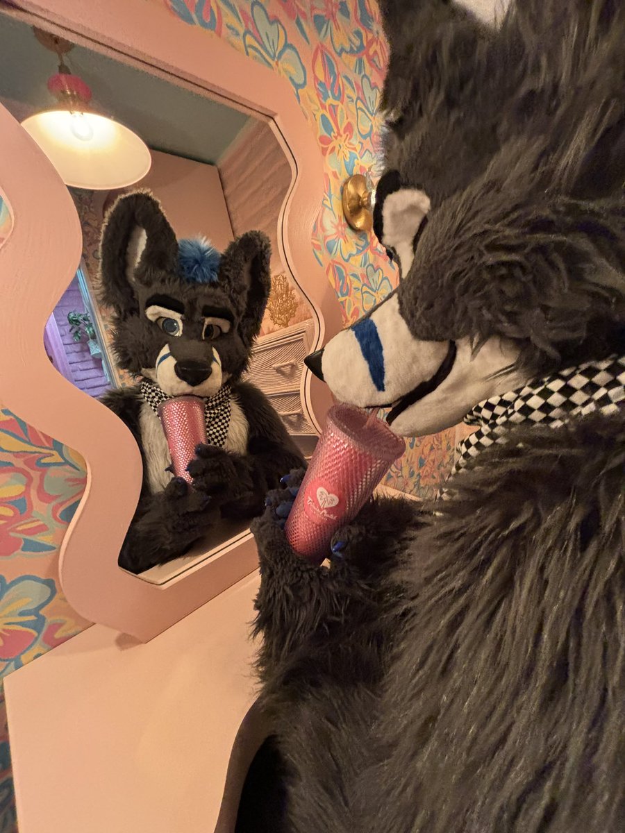 Rory K Fox 🦃🦃🌮 tweet media