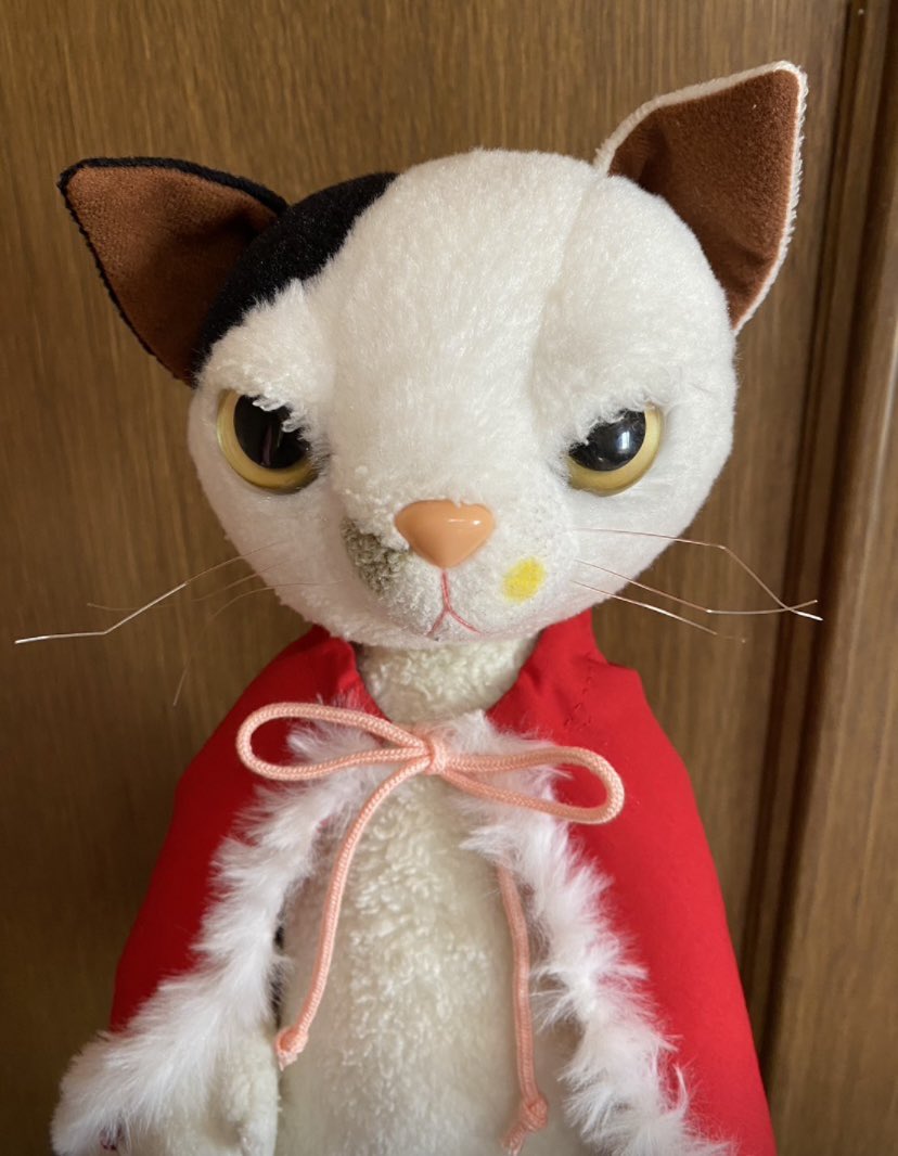 34nontk's tweet photo. 癒やされる子達🐾 https://t.co/8F8smEx40u