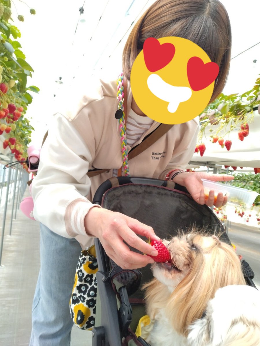 こなつのおかん tweet media