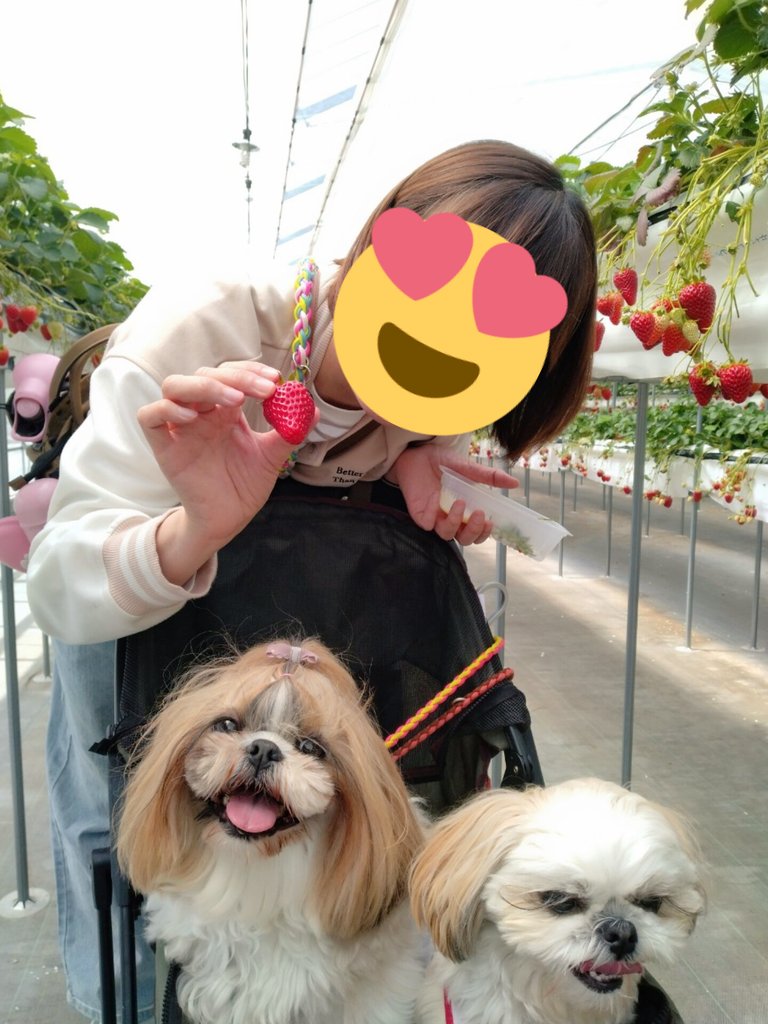 こなつのおかん tweet media