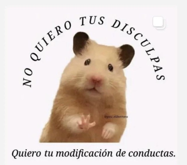 ache frío (@sancatosadcat) on Twitter photo 