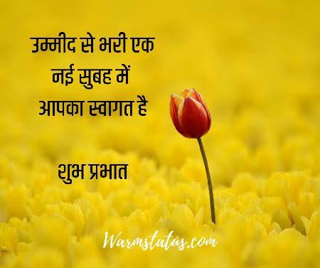 devil430462's tweet photo. @sschauh75696498 🌹🌹🌹🌹🙏 https://t.co/7LIhrJ80on