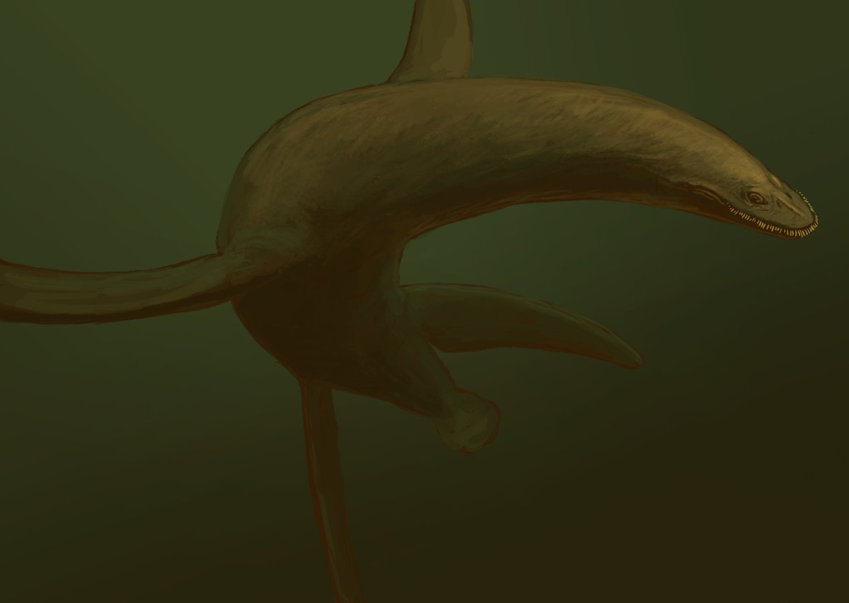 JoschuaKnuppe's tweet photo. Results from the Flocking #paleostream!
Morturneria, Atopodentatus, Comptonatus and Trigonosaurus. https://t.co/CEddZC5dIB