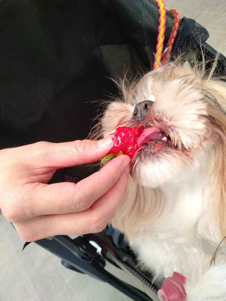 こなつのおかん tweet media