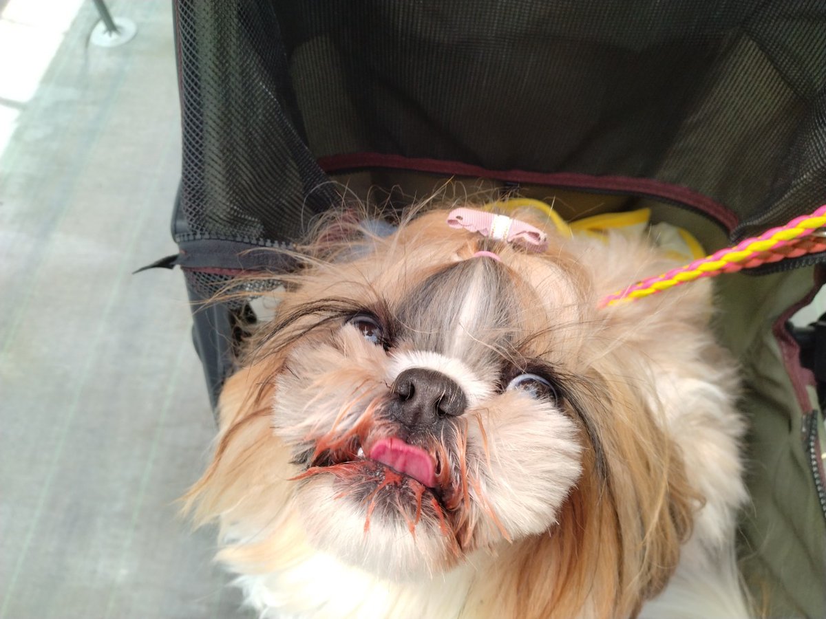 こなつのおかん tweet media