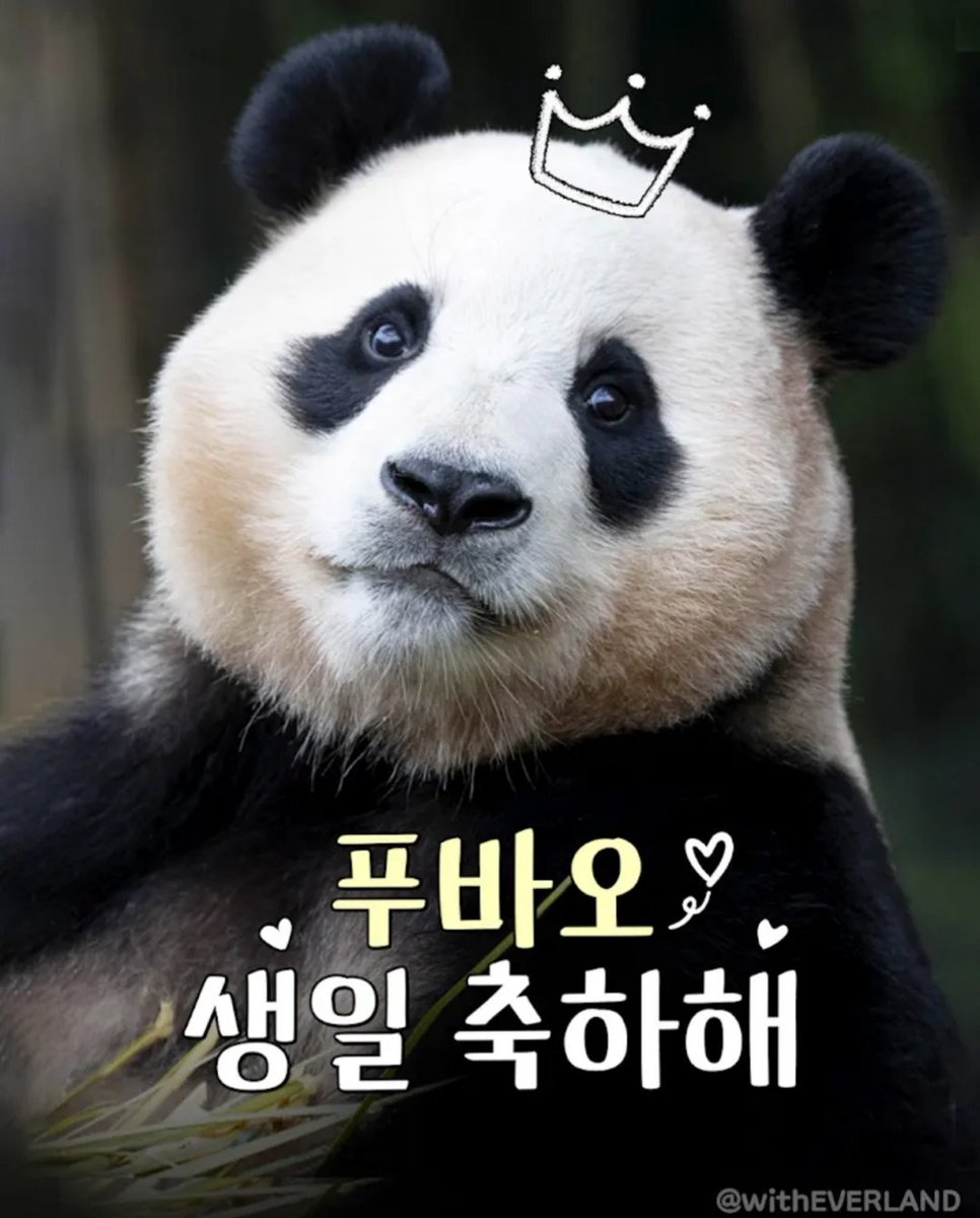 SAVE___FUBAO's tweet photo. 우리 푸야💛 
생일축하해🎉🎉
임오가 많이많이 사랑해🩷 https://t.co/2pBluIbcw8