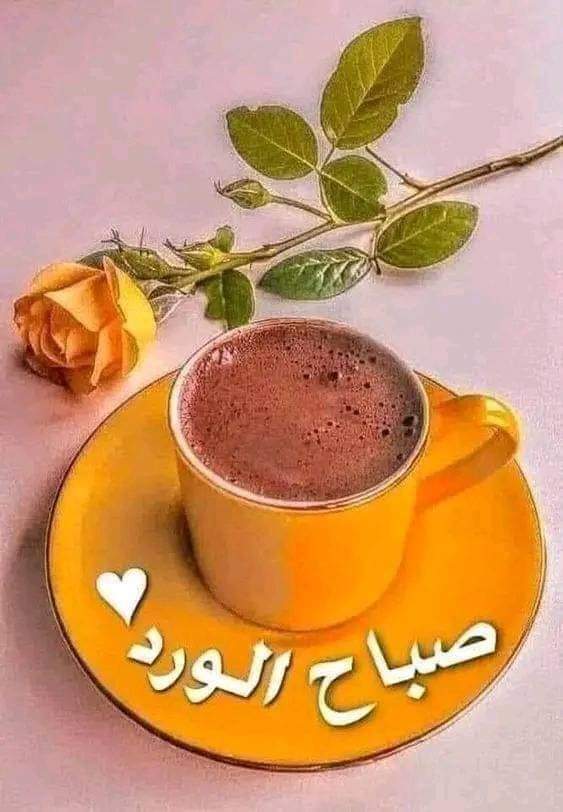 ابن اليمن تعز (@addhhmob) on Twitter photo 