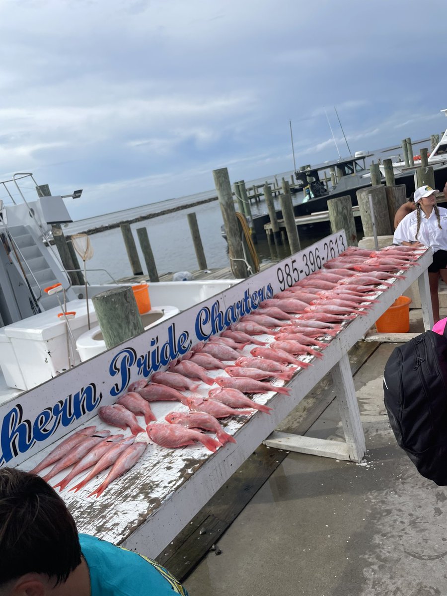 Thanks again to Southern Pride charters for taking us offshore and hammering the red snapper! Geaux Tarpons