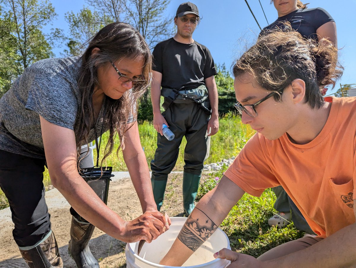 Andy Turko tweet media