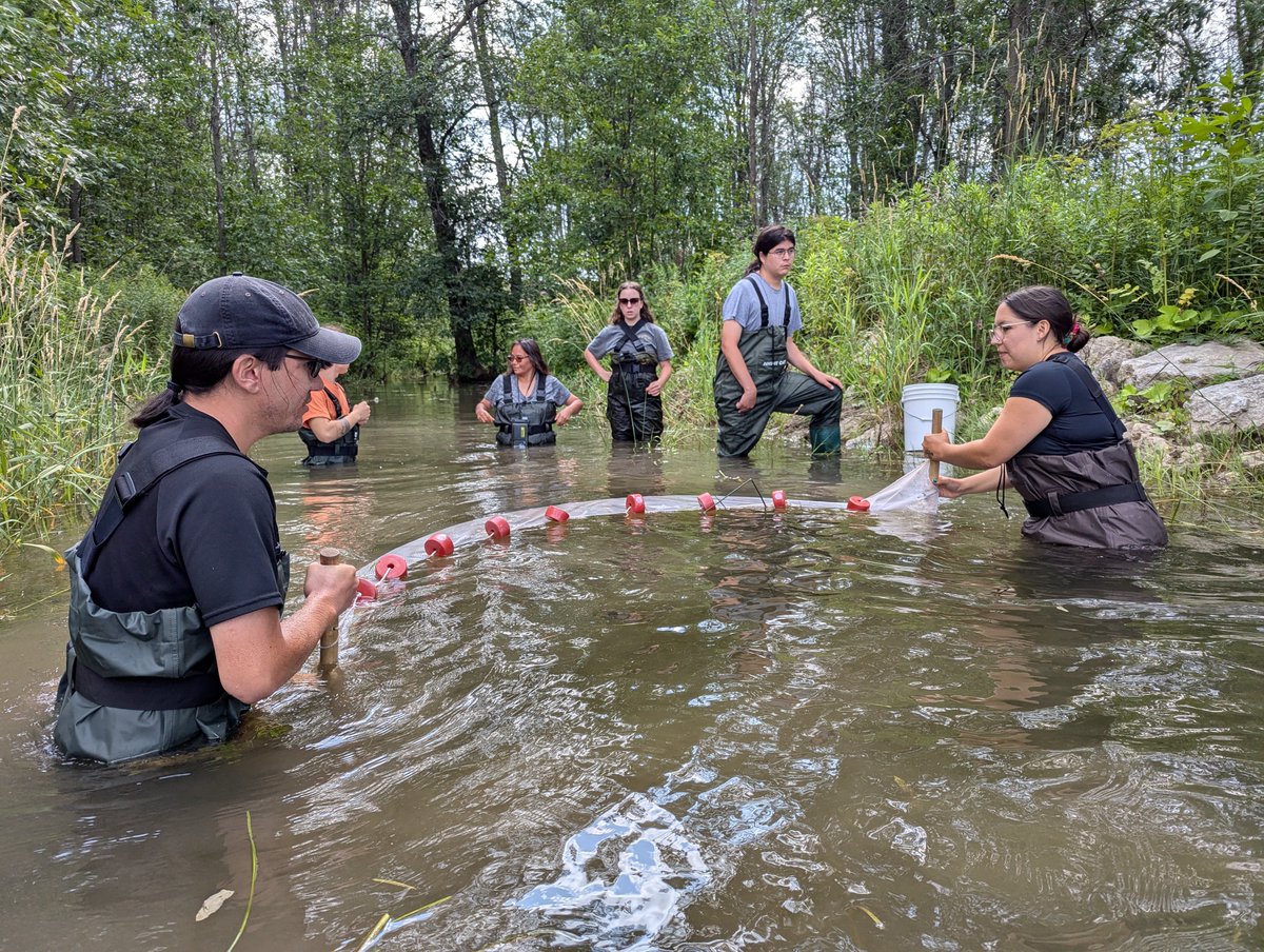 Andy Turko tweet media