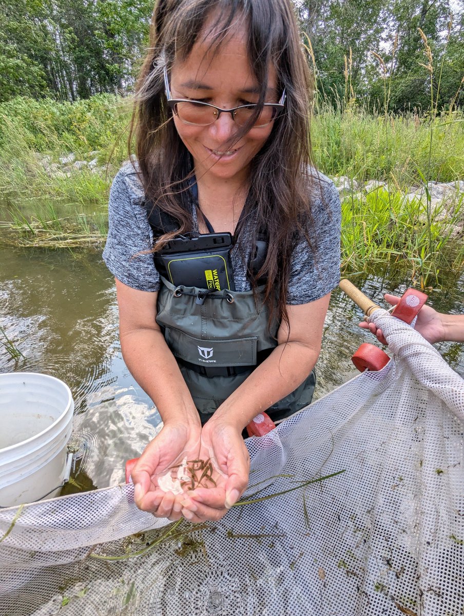 Andy Turko tweet media