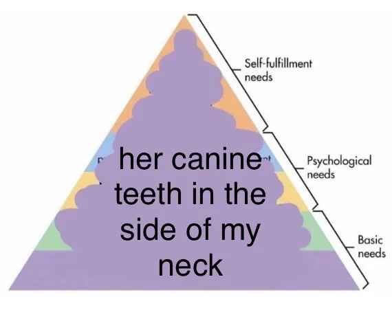 Gax ΘΔ (@maximumgaximum) on Twitter photo 