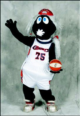 kuff's tweet photo. @emmabaccellieri Pour one out for Haley. Houston Comets fans remember. https://t.co/wNabCDyaV9