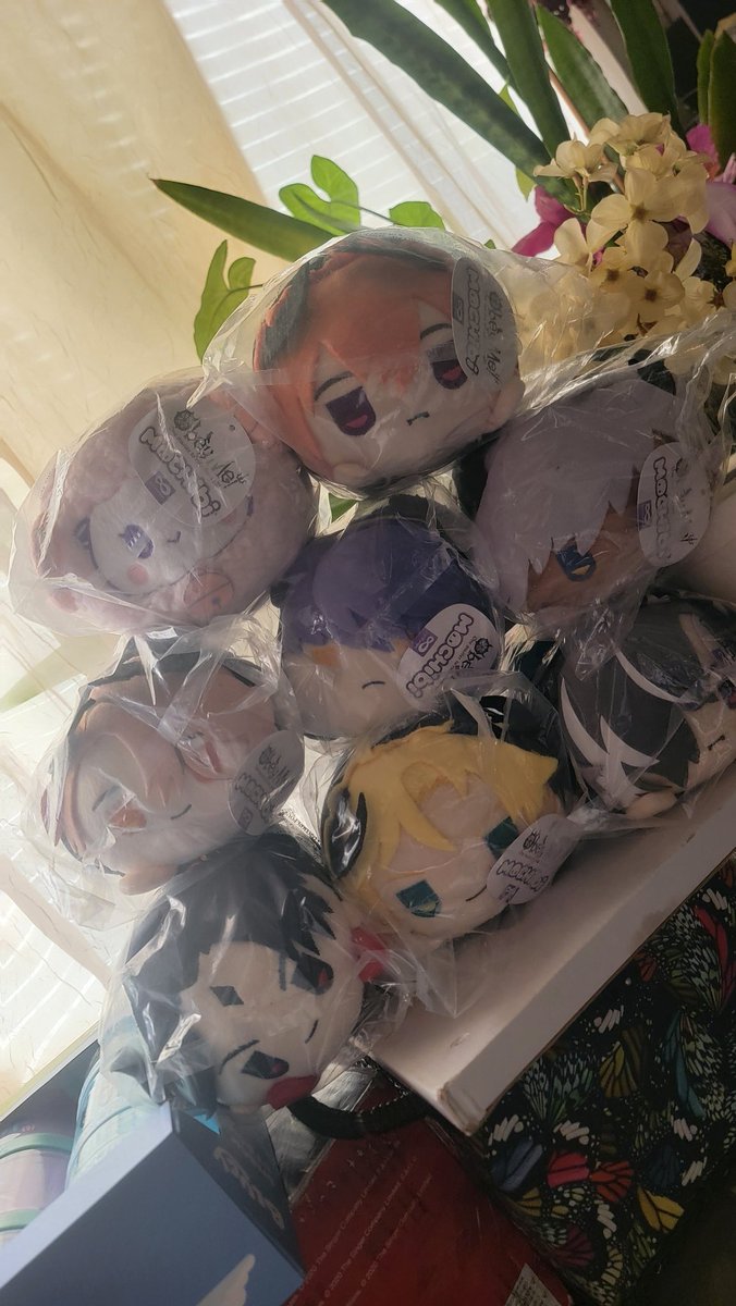 PalaciosKiller's tweet photo. They finally got here!!!! Love how cute they are!!!

#obeyme #obeymenightbringer #mochibi
#animation #adultlife https://t.co/13z5kTbiJE