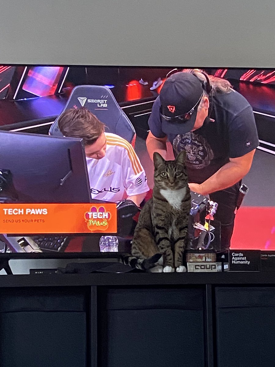 redheadedriley's tweet photo. Toad is a big fan 
@valesports_na 
#VCTAmericas #techpaws https://t.co/ld7xY72BjW
