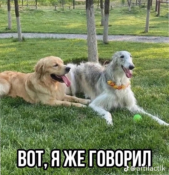 vlad__river's tweet photo. мой самый любимый мем https://t.co/xVfLfTZou8