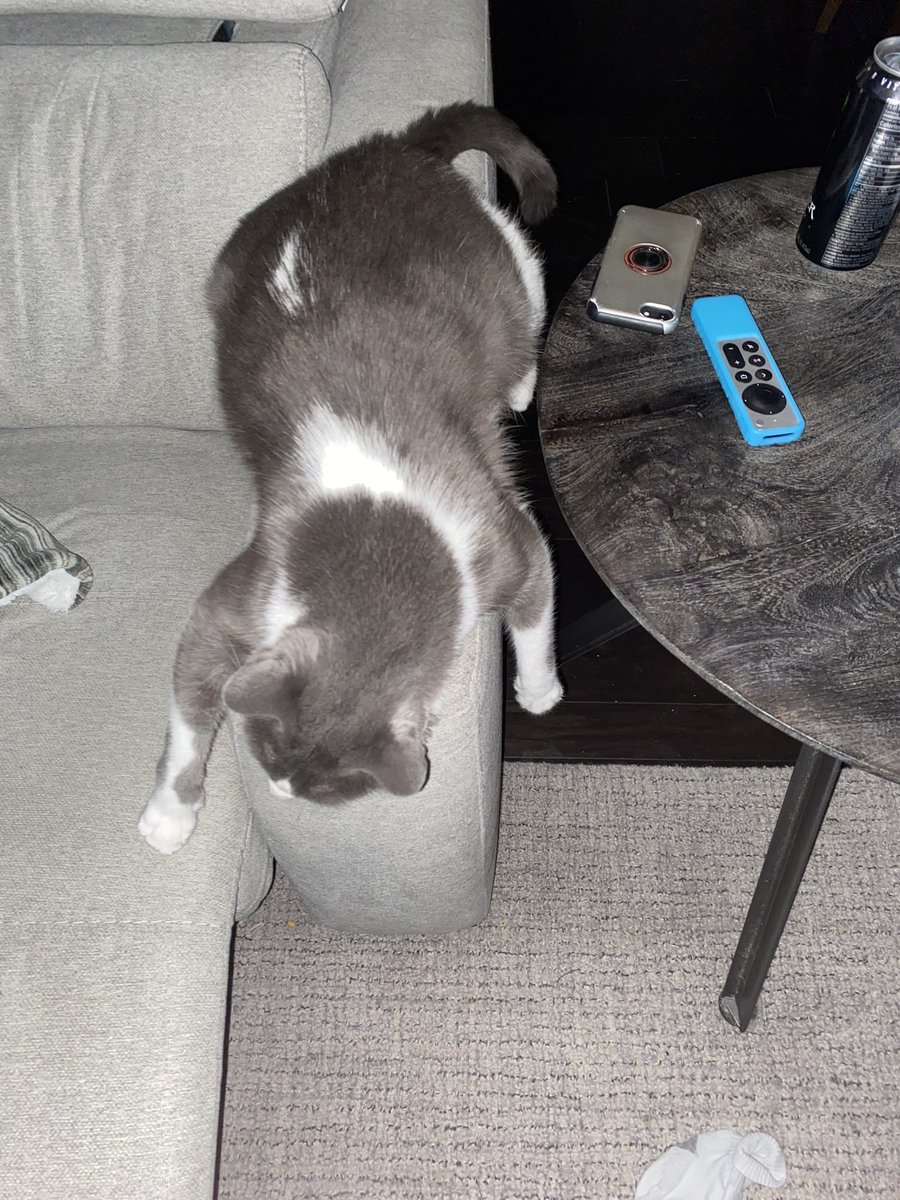 killakamui tweet media