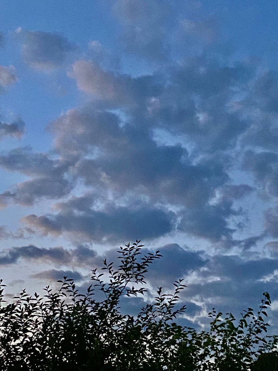 Conductor222's tweet photo. What a perfect evening for a firepit! 🔥🪵 Unbelievably, it’s 68° & calm!
Today was terrific too: I got 20k steps, did yard work, read, rewatched The Lord of the Rings, baked brownies, and caught up with friends! #lbi #MagicPorch #DayOff #clergy #ParsonCarson https://t.co/WOAeCDPow1