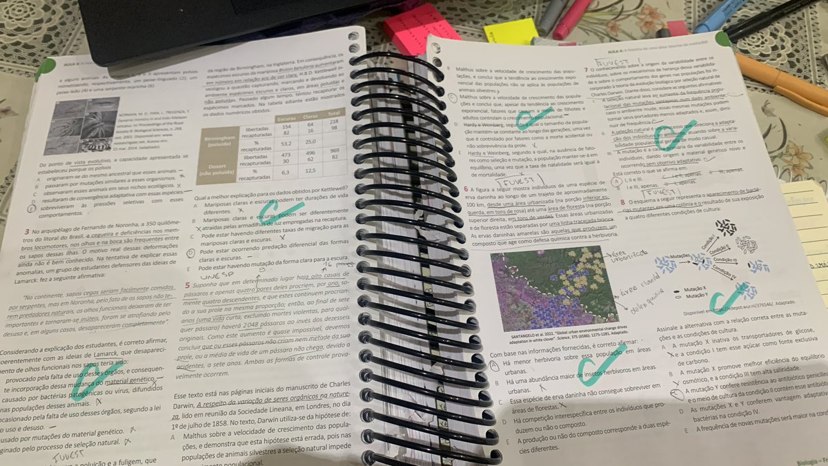 soobnotes's tweet image. — studylog  | 19.07.24 ༉✧

Hoje tirei o dia mais para descansar pq não estava muito bem, ai fiquei só nos exercícios, foi um dia bom 🙂‍↕️