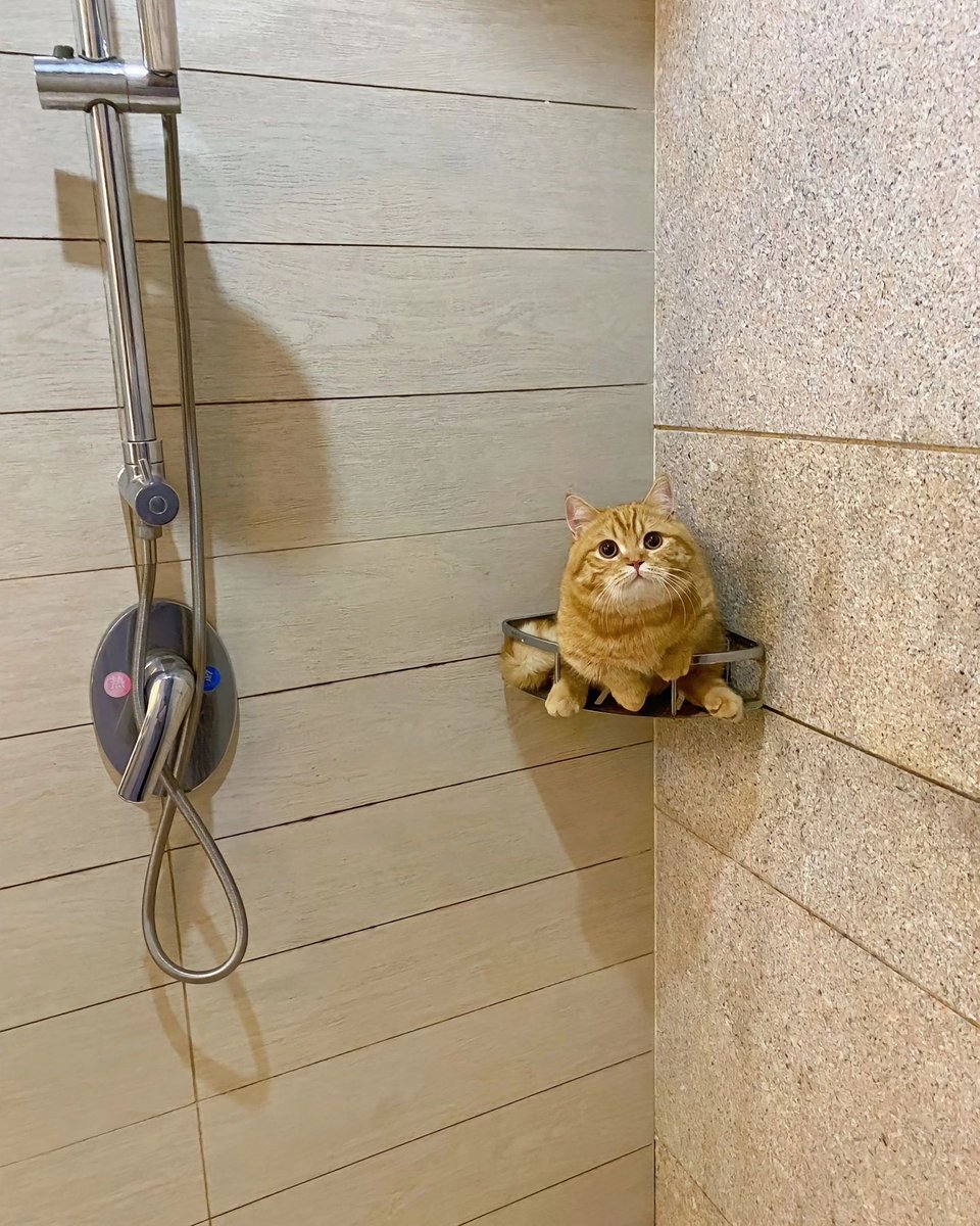 bro thinks he's a sponge 🧽