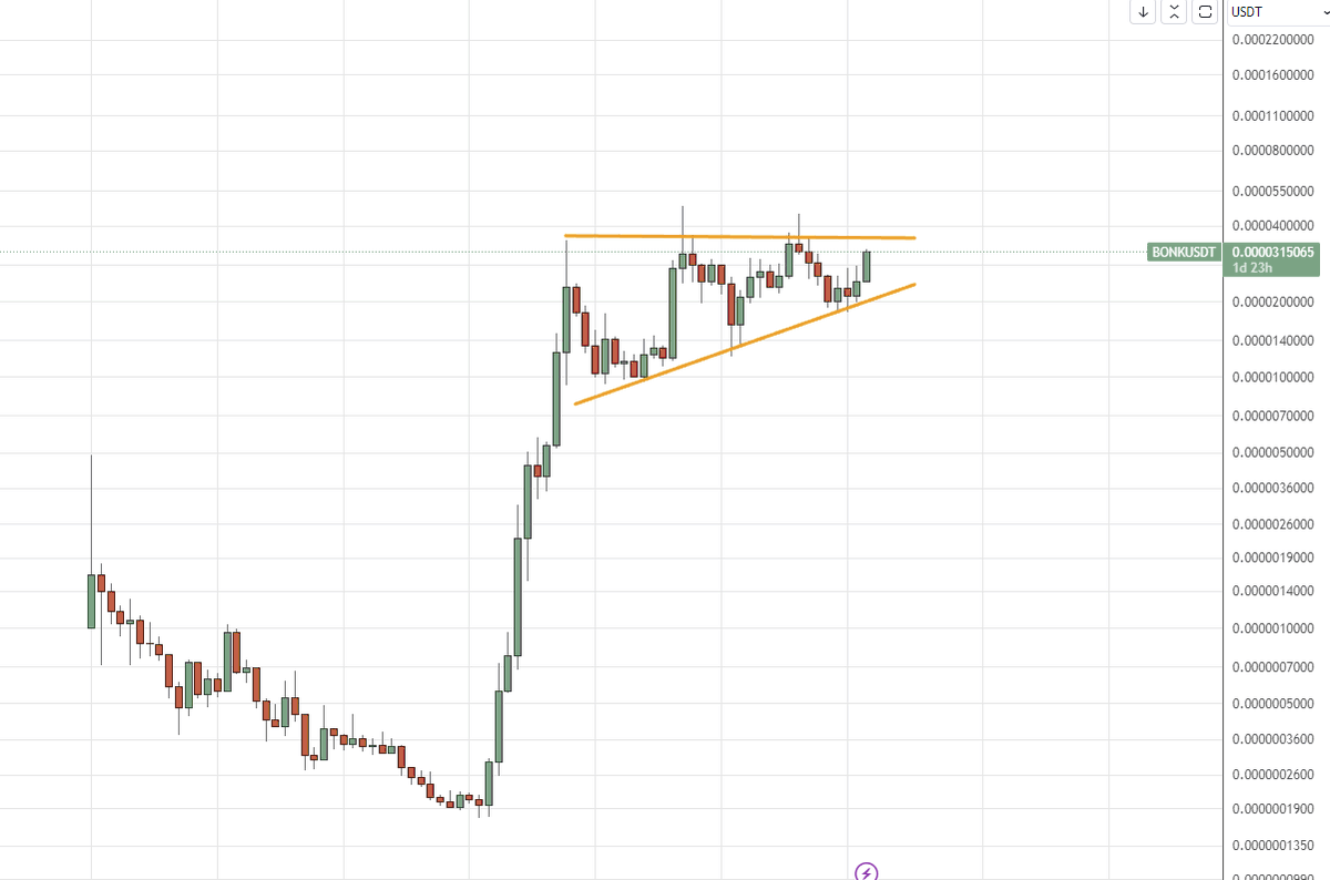 trader_travis's tweet photo. The weekly log bull flag on $bonk gotta be one of the most bullish things ive ever seen https://t.co/p7BMrhpj4i