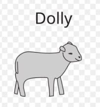 dolly doin her thang 🐑