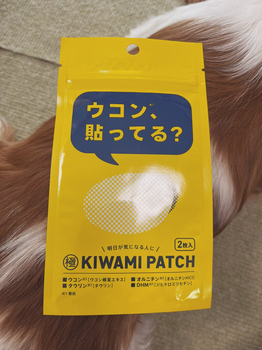 vivitomaaru's tweet photo. KIWAMI PATCHさんからウコンのシールを頂いたので試してみます!!!
明日の朝に結果発表します☺️
二日酔いの民にはありがてぇ🥹
#KIWAMIPATCH
#二日酔い
#ウコン
#PR https://t.co/IeqiVxEBFt