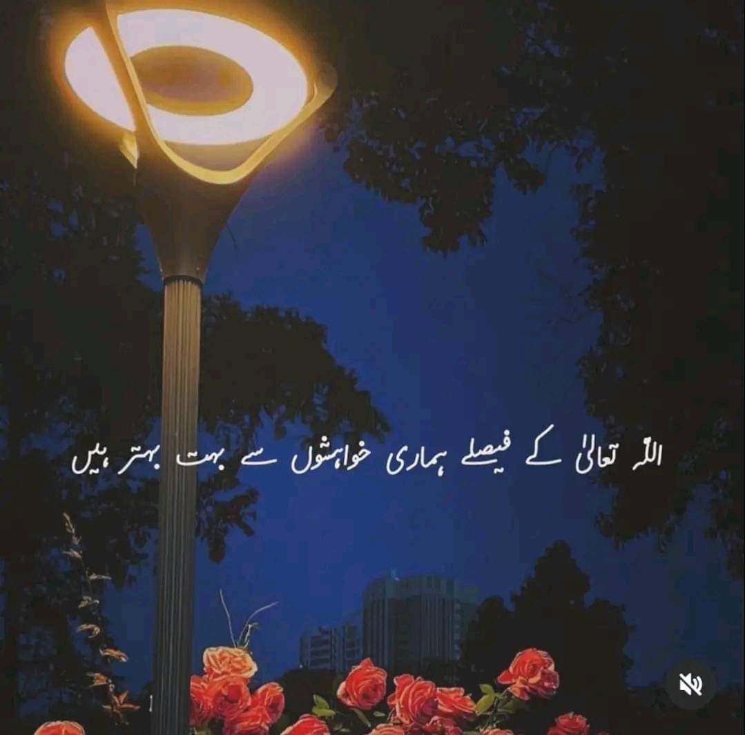 السلام علیکم دن بخیر ۔۔۔۔!!
بیشک 💕