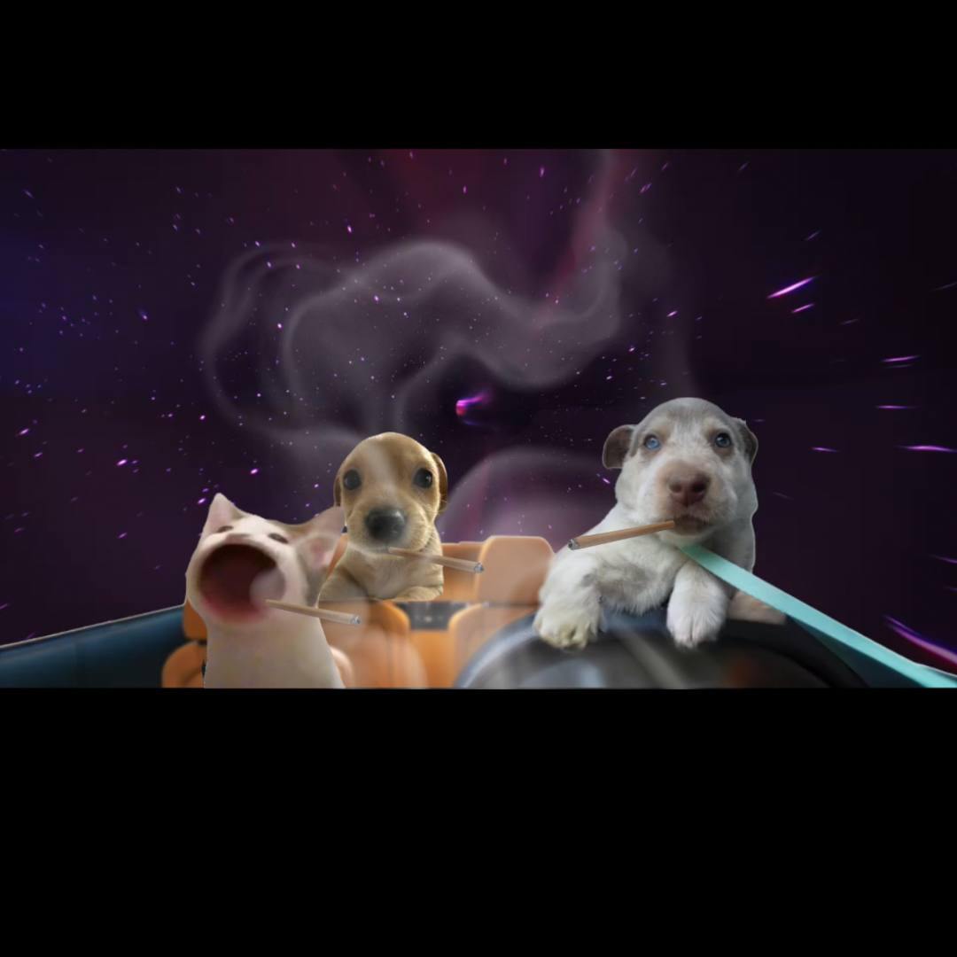 whippycto's tweet photo. @mrpunkdoteth come whip with us $whippy https://t.co/eiuHKnstiy
