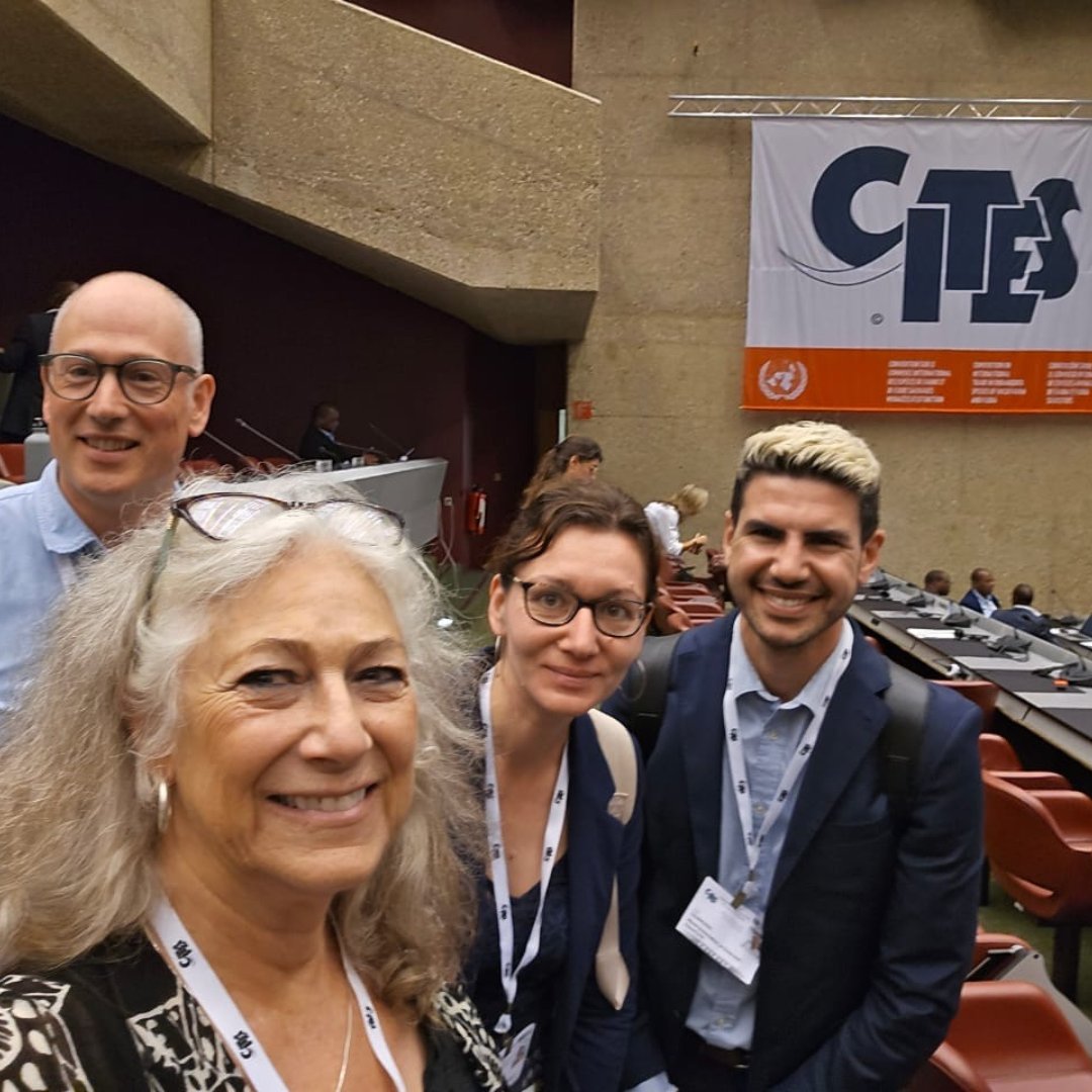 CCFCheetah's tweet photo. Dr. Marker and Dr. Yashphe attended the 33rd meeting of the @cites Animals Committee (#AC33) this week. Fostering scientific collaborating and cooperation, the meeting assessed the status of the trade in species including African carnivores.
https://t.co/XXTuEp2kqT https://t.co/1ugp4S7wlc