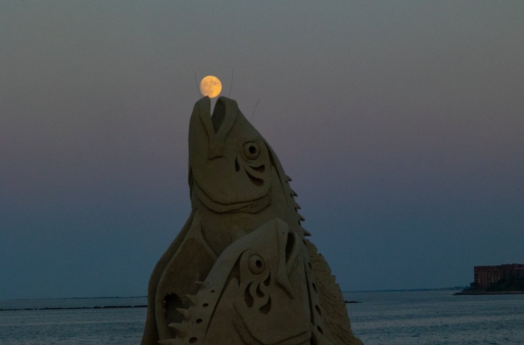 Matt Frank tweet media