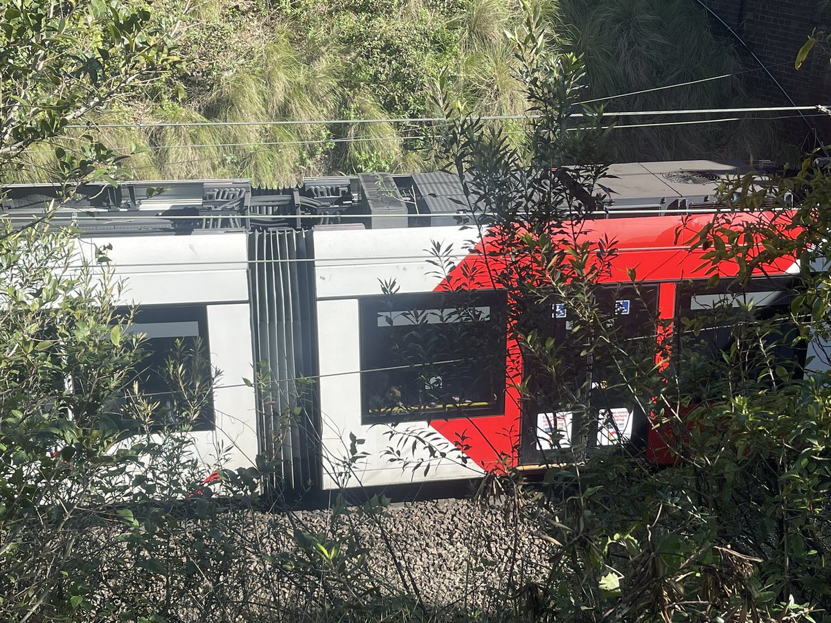 Erin Ramsay (@eeramsay) on Twitter photo #BREAKINGNEWS PYRMONT, a tree has fallen on the light rail tracks at the Fish Market stop. Passengers trapped on board. <a href="/9NewsSyd/">9News Sydney</a> #BREAKINGNEWS PYRMONT, a tree has fallen on the light rail tracks at the Fish Market stop. Passengers trapped on board. <a href="/9NewsSyd/">9News Sydney</a>