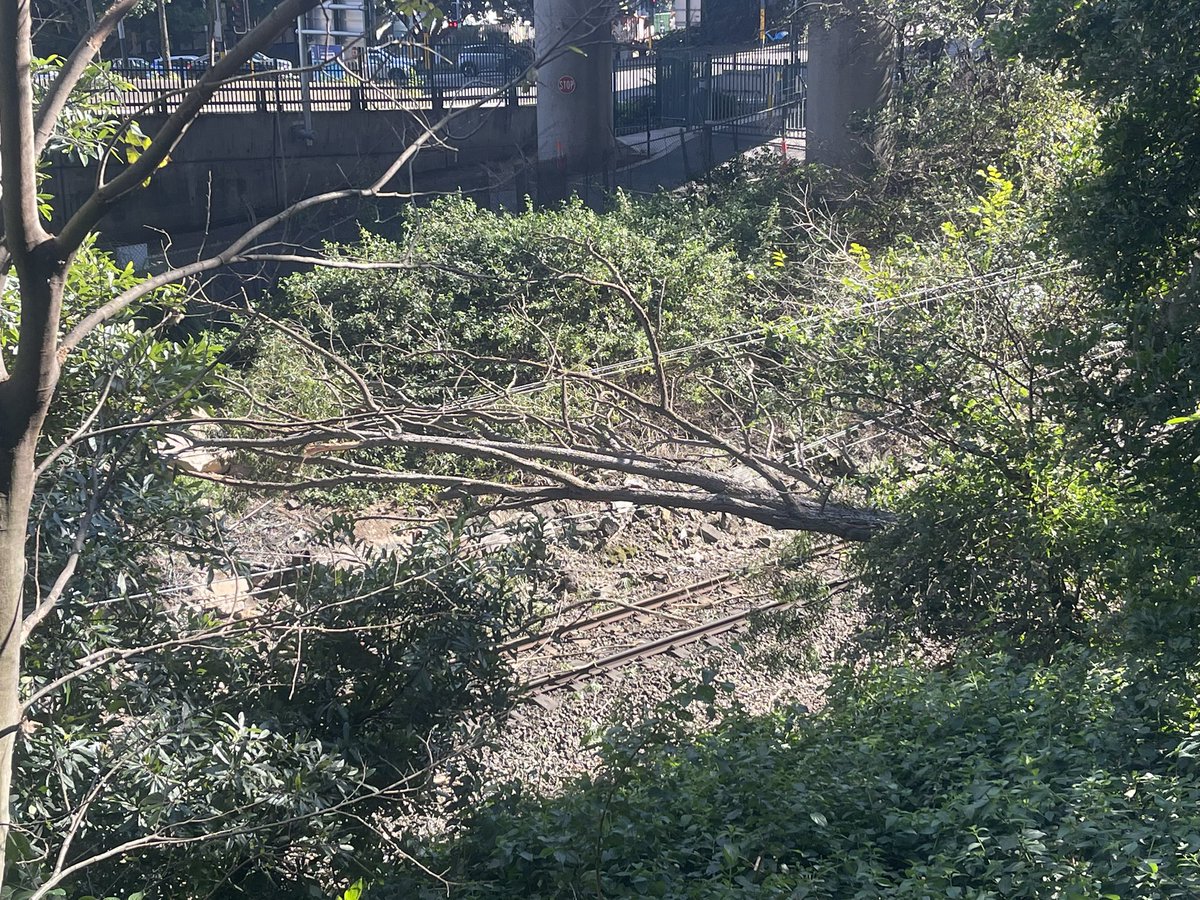 Erin Ramsay tweet media