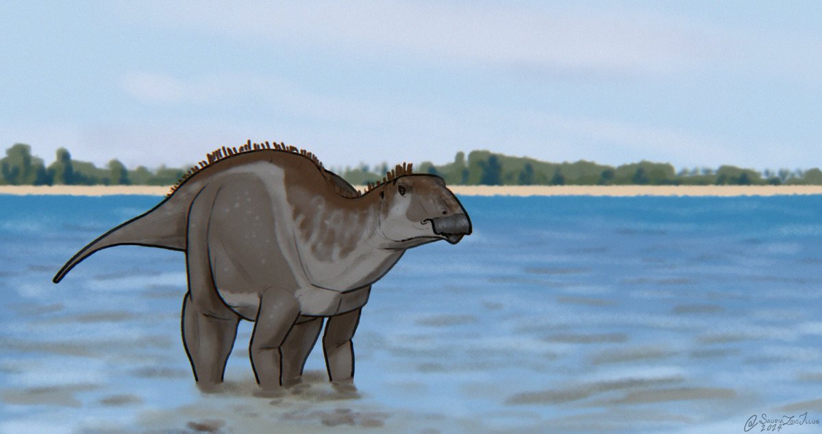 PPaleoartist's tweet photo. here's today's #Paleostream sketches!!!

today we drew Morturneria, Atopodentatus, Comptonatus, and Trigonosaurus https://t.co/Dioy9GkiOf