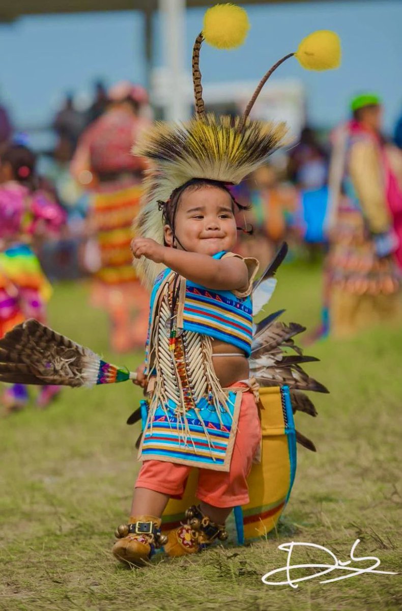 Lakota Man tweet media