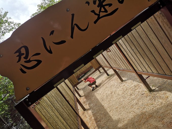 五月山動物園閉まってるけど1時間駐車場代変わらんから隣の公園で数十分遊んで汗だく 