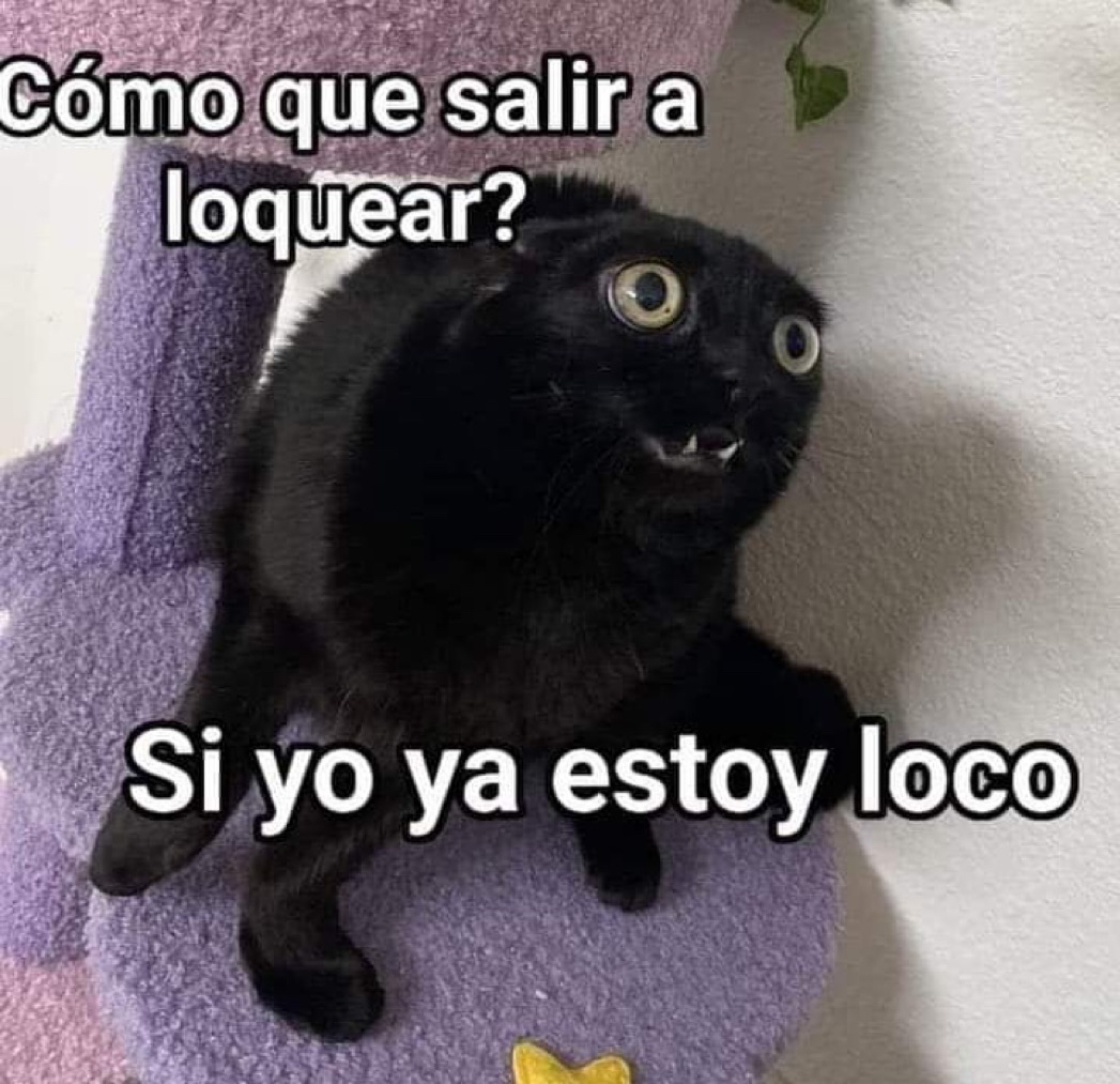 El Guarromántico tweet media
