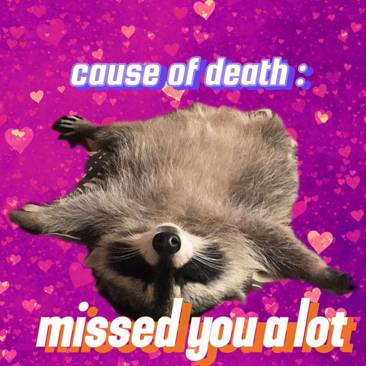 raccoon aesthetic. (@raccoonesthetic) on Twitter photo 