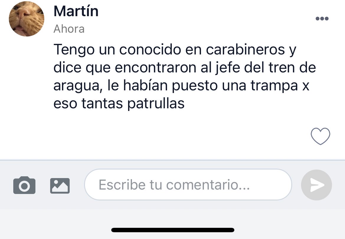 Cami 🇨🇱 tweet media
