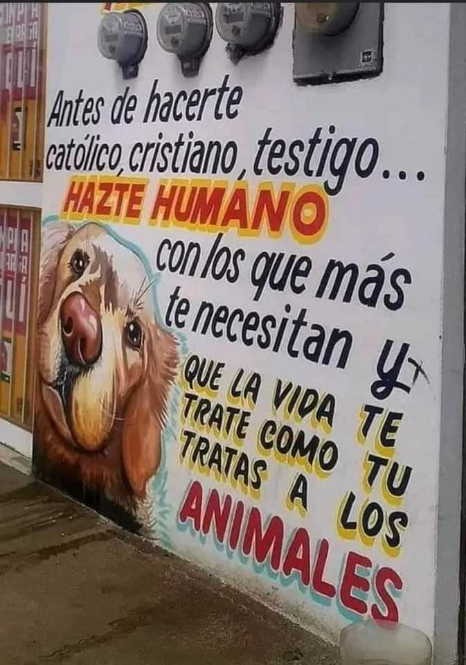 PerroUsuario's tweet photo. Todo nuestro reconocimiento para quien hizo este mural https://t.co/1IPJRN2fNG