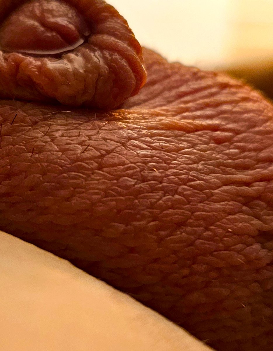 I forgot I took this a while back - the angle and everything just... it's a landscape! <3