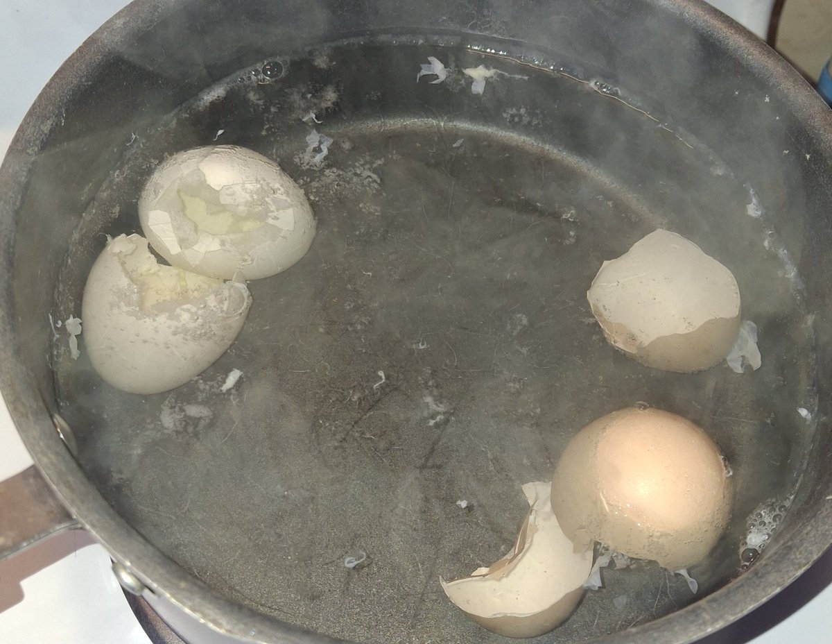 MysticRoseYT's tweet image. Any guesses on what im making? Hint: It's not for eating. #homemade #eggshell #tea