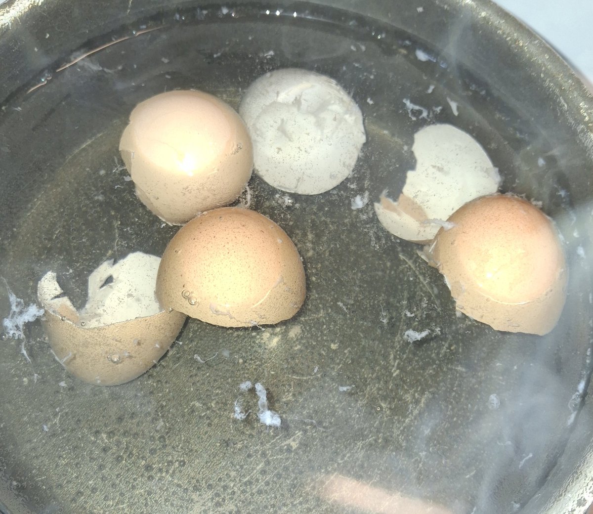 MysticRoseYT's tweet image. Any guesses on what im making? Hint: It's not for eating. #homemade #eggshell #tea