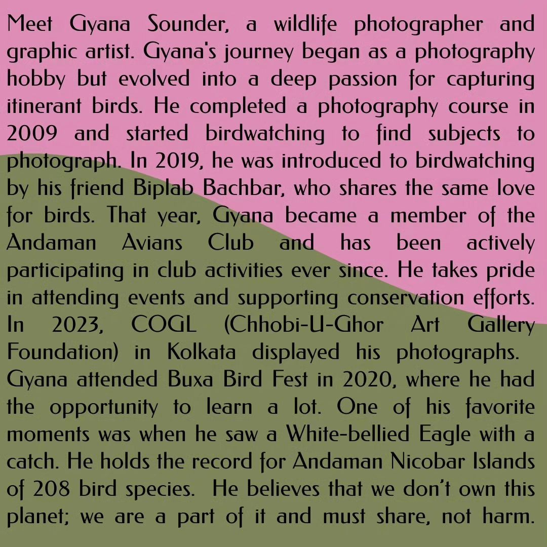 ANDAMAN AVIANS CLUB tweet media