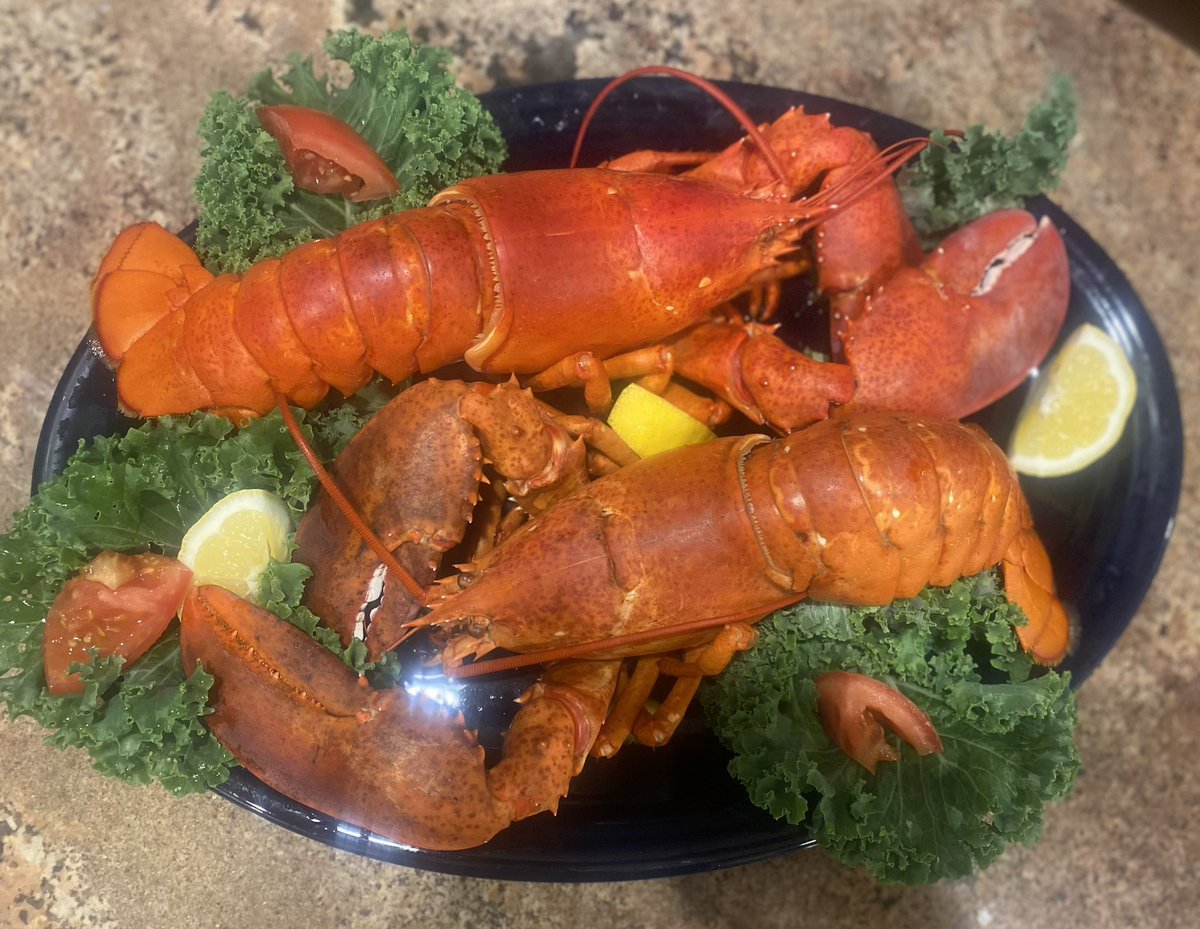 <a href="/SupremeLobster/">Supreme Lobster</a> 20 easy
Minutes to
Perfection 🦞