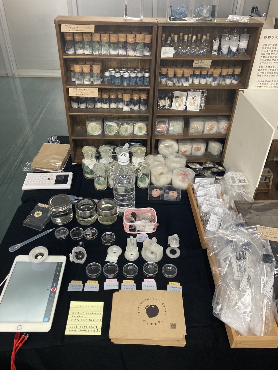 BlackSheep_CC's tweet photo. 今日のきらら舎は博物ふぇすてぃばるに出展しています。
鉱物や貝の他に、実験キットも豊富です。

外は灼熱ですが、会場内もたくさんの出展ブースとお客様で熱いです！
#博物ふぇすてぃばる https://t.co/4bkAdZBJ35