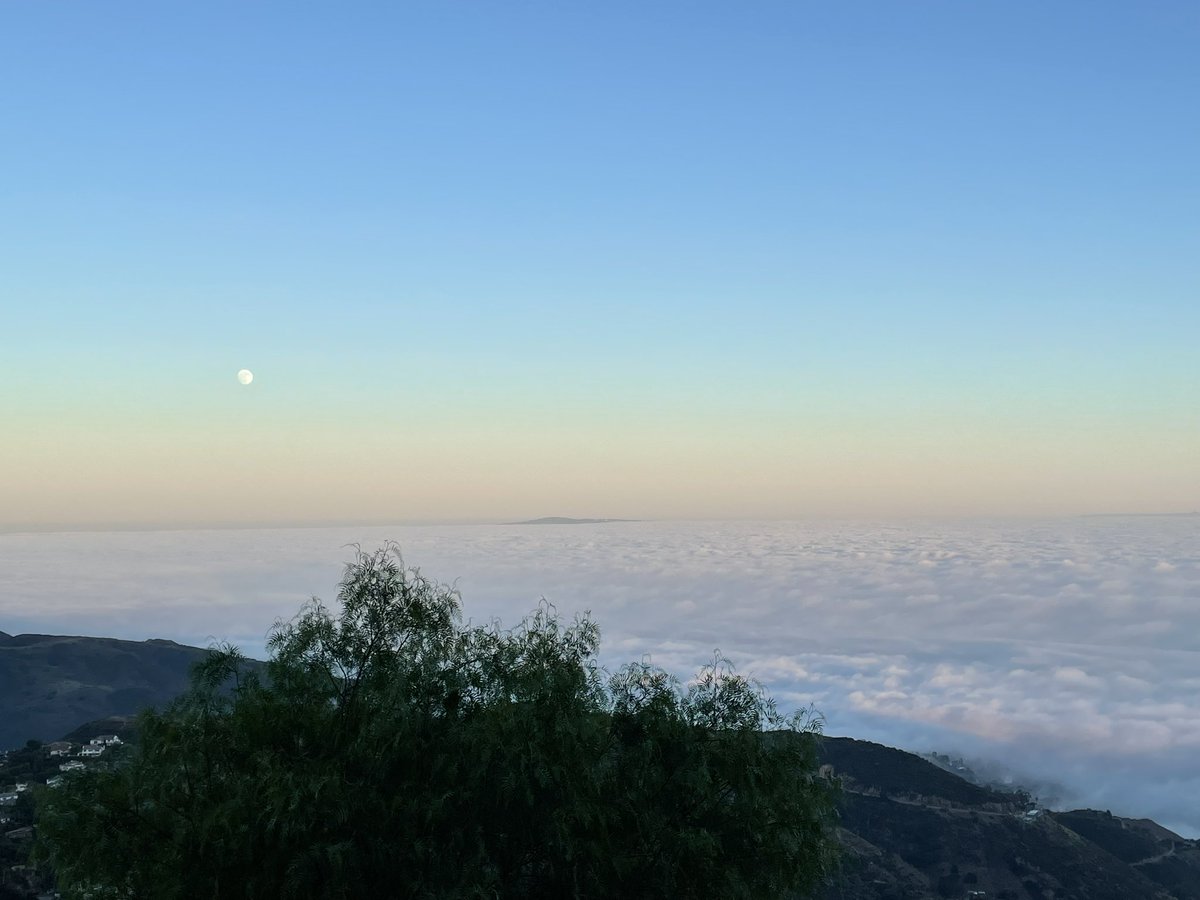 Living in LA has its benefits!
